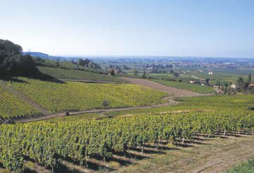 beat365亚洲体育官方网站