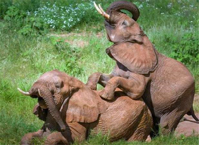 免疫力低下的表现 增强免疫力的食物“beat·365”(图1) beat365亚洲体育官方网站