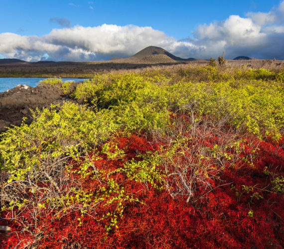 行知小学喜迎生命教育大咖到校开展绘本教学“beat·365”(图2) beat365官网