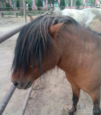 “beat·365”英雄联盟12月5号排位赛几点开启 12月5号排位赛开启时间(图1) beat·365