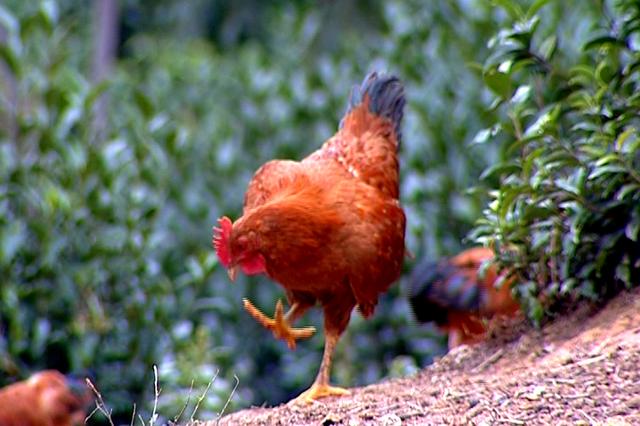 beat365亚洲体育官方网站