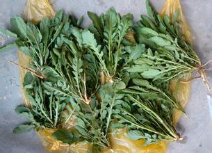 《炉石传说》OTK鱼人萨卡组介绍【beat·365】(图2) beat365亚洲体育官方网站