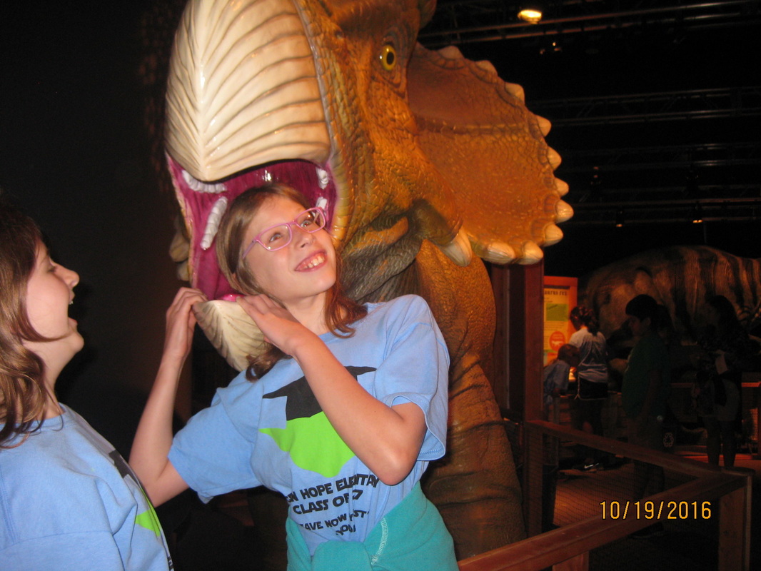 beat·365|灵宝市豫灵镇阳光幼儿园:隔离未隔爱成长不停歇(图1) beat365亚洲体育官方网站