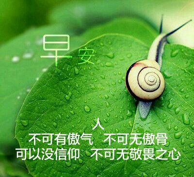 当Mlxg知道左手登顶:他这是要上两千分吗?_beat365官网(图1) beat·365