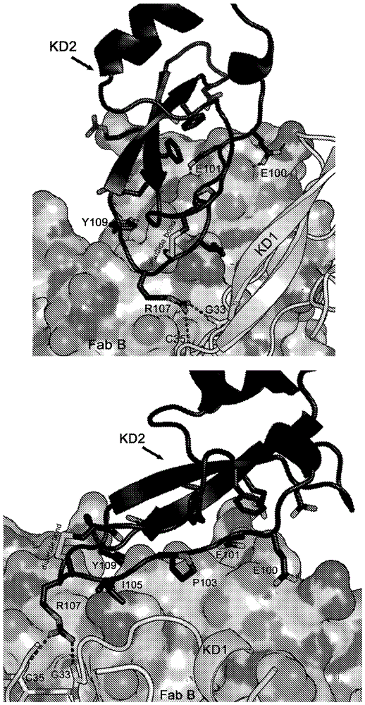 防患于未然金沙幼儿园疫情防控应急演练圆满结束|beat365亚洲体育官方网站(图3) beat365亚洲体育官方网站
