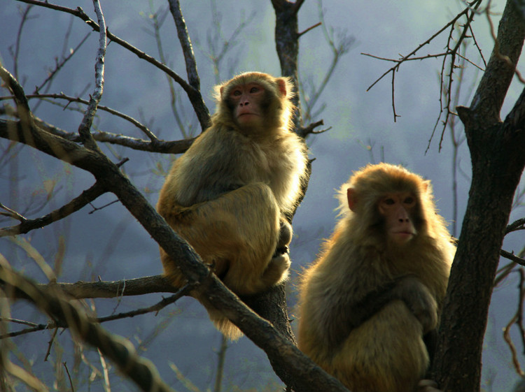 防患于未然金沙幼儿园疫情防控应急演练圆满结束|beat365亚洲体育官方网站(图1) beat365官网