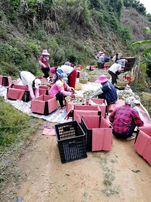 beat365亚洲体育官方网站