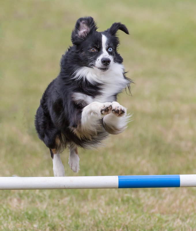 beat365亚洲体育官方网站