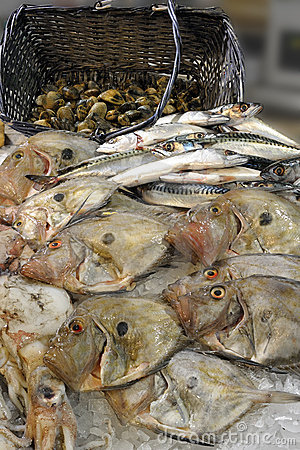 beat365亚洲体育官方网站