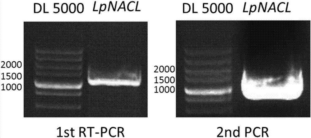 beat365亚洲体育官方网站
